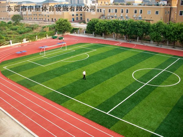 塑膠跑道(佛山東翔學校塑膠跑道..